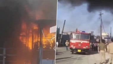 Moradabad Fire: Massive Blaze Breaks Out at Thermocol Factory in UP’s Katghar Area, Firefighters Rush To Spot (Watch Videos)