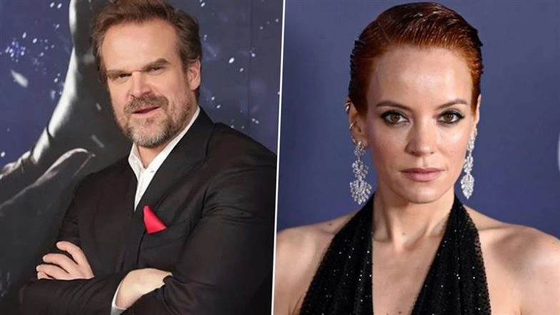 Lily Allen and David Harbour Call It Quits After 4 Years Together