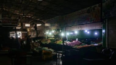 Power Outage in Sri Lanka: Nationwide Power Outage Occurs in Country As Monkey Comes in Contact With Grid