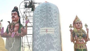 Grand Abhishekam for 61-foot Shiva Lingam at Trichy Temple on Maha Shivaratri