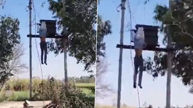 Amroha: Lineman Critical After Suffering Electric Shock as Power Gets Restored Suddenly, Disturbing Video Shows Him Hanging From Wires