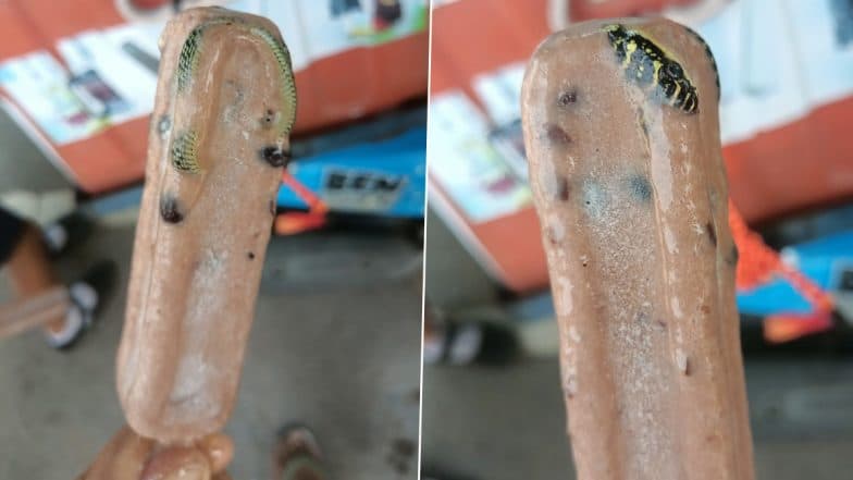 Frozen Snake Inside Ice Cream Bar: Thailand Man’s Shocking Discovery of a Frozen Reptile Goes Viral (See Pic)