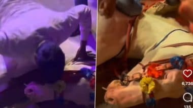 Animal Cruelty Caught On Camera: Horse Forced to Smoke, Youths Perform Push-Ups on Its Back During Wedding Celebration (Watch Video)