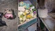 Cat or Dog Meat Being Used To Make Momo in Mohali? Locals Allege Animal Flesh, Rotten Vegetables Used in Chicken Momo and Spring Rolls; Health Department Collects Samples (Watch Videos)