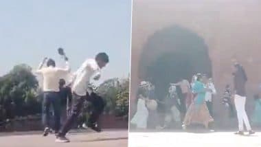 Beehive Falls Off Royal Gate at Taj Mahal: Honey Bees Attack Tourists and Visitors Alike, Sparking Panic Among Locals (Watch Video)