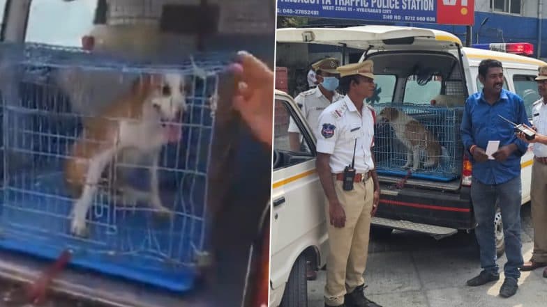 Hyderabad: Pet Dog Found in Siren-Blazing Ambulance, Driver Booked for Misuse of Emergency Vehicle (Watch Video)