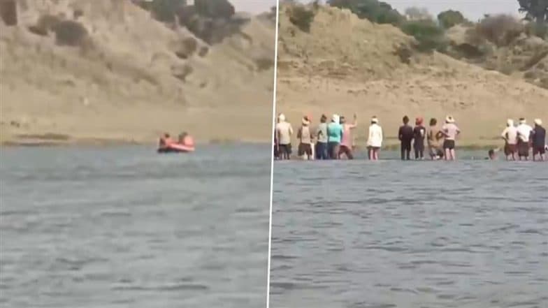 Crocodile Attack in Agra: Crocodile Drags Youth Into Chambal River in Uttar Pradesh, Search Operation On (Watch Video)