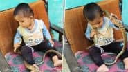 Toddler Plays With Snake: Viral Video Shows Baby Holding Reptile; Some Applaud, Others Warn ‘Dar Bhi Jaruri Hai’