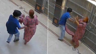 Knife Attack in Jalandhar: Robber Stabs Elderly Woman Before Fleeing With Valuables in Punjab (Watch Video)