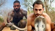 Navi Mumbai: Case Against Influencers Michael Holston and Mickael Aparicio for Handling Protected Snake Species Near Ghansoli Forest and Posting Videos on Instagram for ‘Likes’