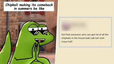 Lizards in Summer Funny Memes: Hilarious ‘Chipkali’ Instagram Reels, Viral Meme Templates and Lizard Jokes That Accurately Sum Up How the Little Wall-Climbers Thrive While We Met in the Heat