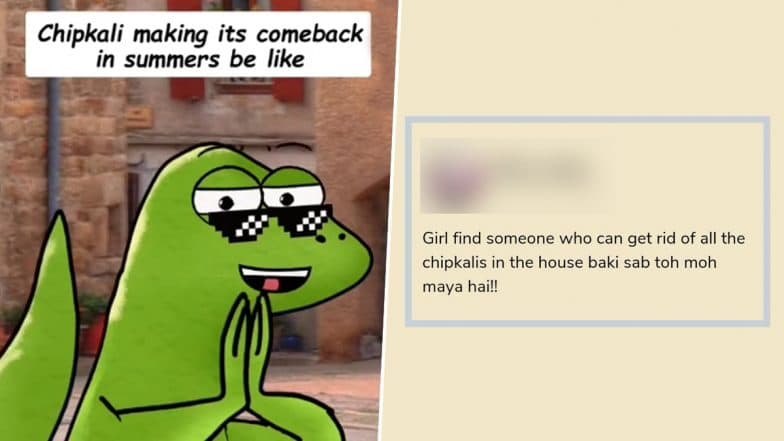 'Chipkali' in Summer Memes and Funny Instagram Reels Take Over the Internet   