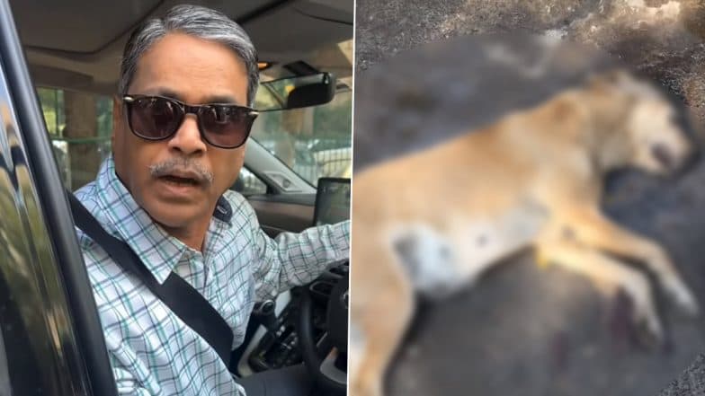 슬롯사이트Toh Kya Hua?슬롯사이트: Delhi Man Runs Over Elderly Dog, Justifies Act With Arrogance; Viral Video Surfaces