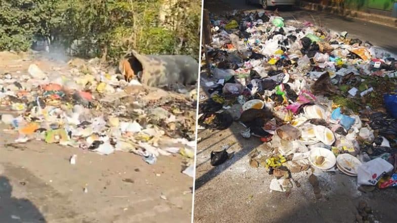 Thane: No Garbage Pickup From Residential Societies for 4 Days Leads to Pileups Across City; Residents Express Anguish, Sharing Photos and Videos of Waste Accumulation