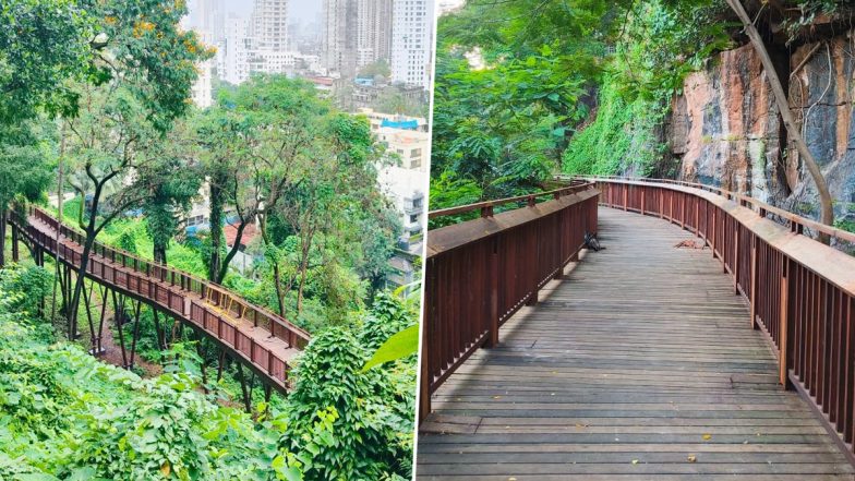 Malabar Hill Walkway To Open on March 30: Know Entry Fee, Visitor Guidelines and Other Details of Mumbai’s 1st Elevated Forest Walkway