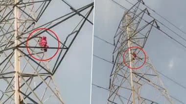 Prayagraj: Woman Climbs High-Tension Tower Over Family Dispute, Rescued by Police After Struggle (Watch Video)