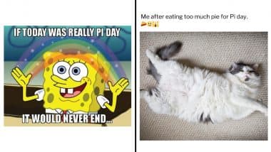 Pi Day 2025 Funny Memes: Get Ready for a Laugh Riot With Hilarious Pi Meme Templates, Jokes and Instagram Posts To Celebrate Fun Math Humour