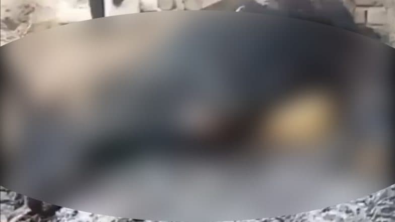 Agra: Villagers Protest After Pregnant Cow Burned Alive As Shed Catches Fire in Uttar Pradesh, Disturbing Video Surfaces
