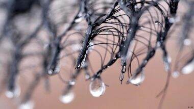 Fog Harvesting: How to Get Water from the Clouds