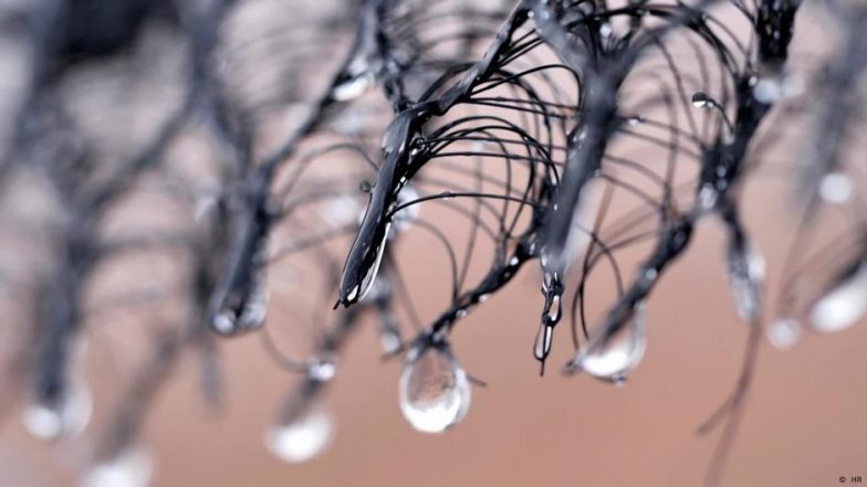 Fog Harvesting: How to Get Water from the Clouds