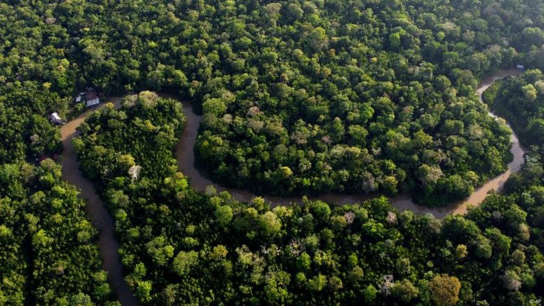 Lula's Climate Betrayal? Brazil Eyes Oil Expansion