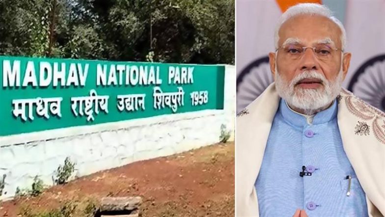 PM Narendra Modi Hails India’s 58th and Madhya Pradesh’s 9th Tiger Reserve, Says ‘Always at Forefront of Protecting Animals’ (See Pics)