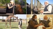 PM Narendra Modi Feeds White Lion Cub, Giraffe and Other Animals, Plays With Orangutan After Inaugurating Anant Ambani’s Vantara Animal Shelter in Jamnagar (Watch Video)