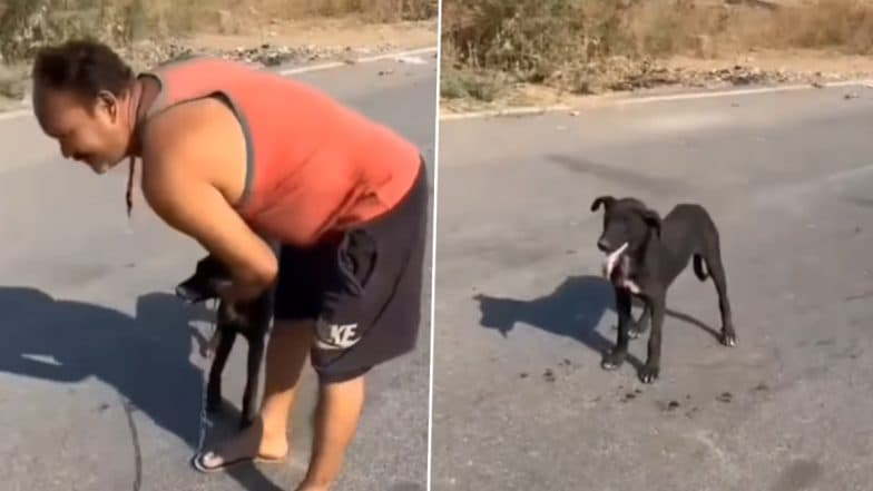 Animal Cruelty in Udaipur: Man Chains Dog To Bike, Drags It in Rajasthan; Video of Woman Confronting Him Goes Viral