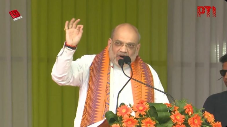 Bodo Peace Accord: Amit Shah Says ‘Centre Will Implement 100% Conditions of BTR Peace Agreement in Next Two Years’