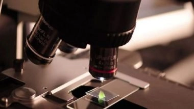 Science News | New Device Could Allow You to Taste Cake in Virtual Reality: Study