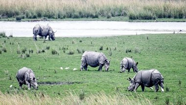 World News | Nepal's Rhino Census Becomes Uncertain with Suspension of USAID