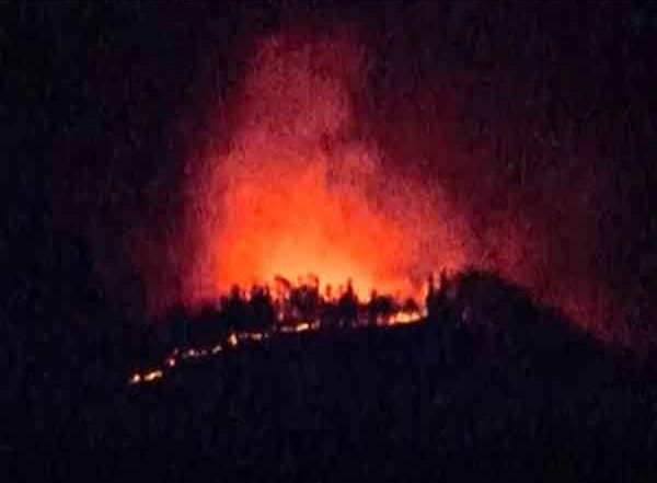 World News | Massive Forest Fire Expands in Japan, Putting More Homes at Risk