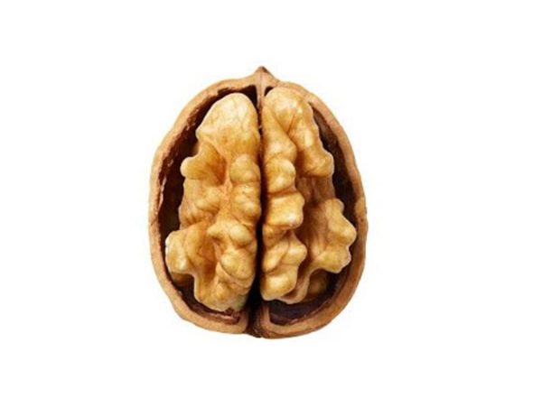 Business News | Study Shows Walnut-Rich Breakfast May Help to Boost Your Brain Power