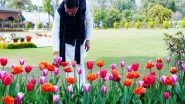 India News | Uttarakhand Govt Working to Boost Horticulture, Floriculture: Dhami