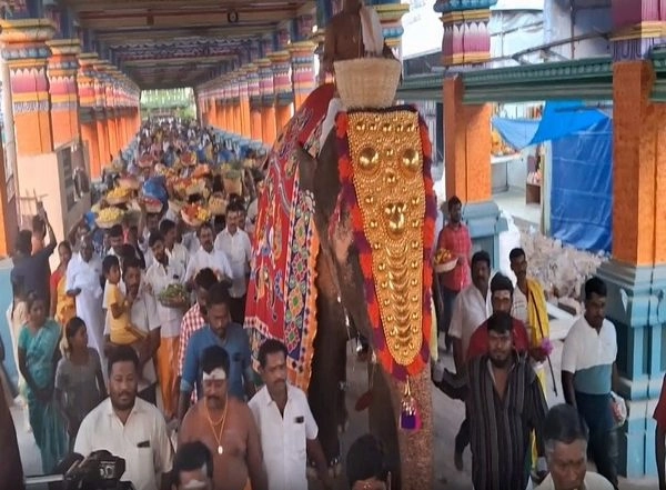 India News | Thousands of Devotees Participate in Poochorithal Festival at Samayapuram Mariamman Temple