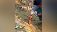 India News | Andhra: Chittoor Artist Creates Painting of Rohit Sharma, Virat Kohli to Celebrate India's Champions Trophy Win
