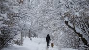 World News | US Crackdown on Illegal Immigration to Impact Many Canadian Snowbirds: Report