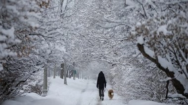 World News | US Crackdown on Illegal Immigration to Impact Many Canadian Snowbirds: Report