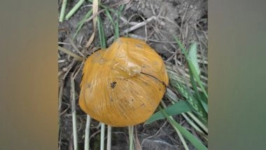 India News | BSF, Punjab Police Recover Suspected Heroin on Tarn Taran Border