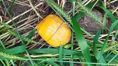 India News | BSF, Punjab Police Seize 549 Grams of Heroin Near Tarn Taran Border