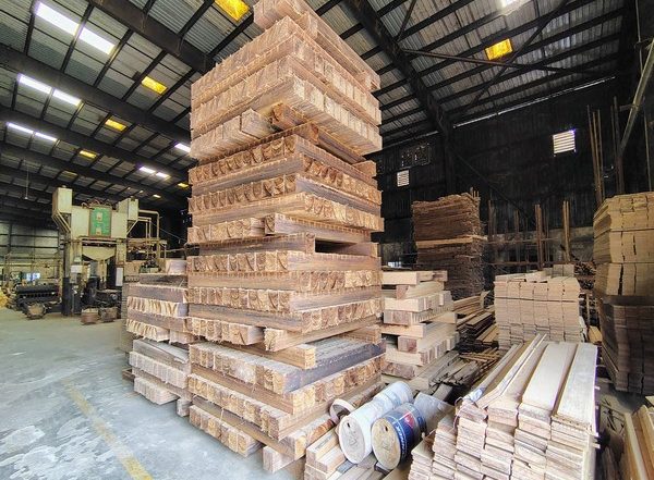 India News | Tripura's Bamboo Industry: A Key Driver of Economic Growth and Sustainable Development