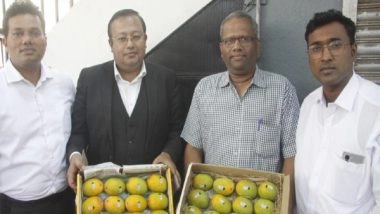India News | Maharashtra: Devgad Alphonso Mangoes Go Digital, Will Carry UID Codes to Combat Counterfeiting