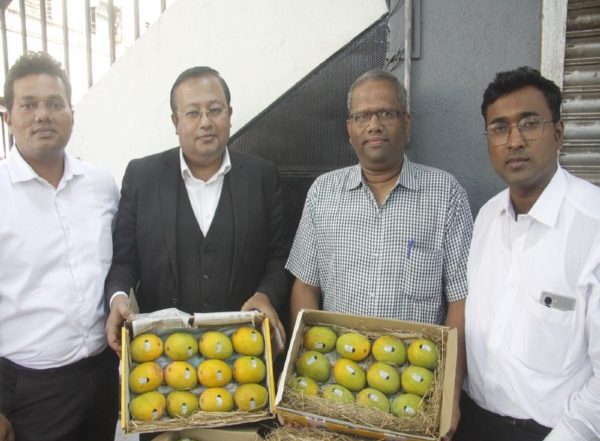 India News | Maharashtra: Devgad Alphonso Mangoes Go Digital, Will Carry UID Codes to Combat Counterfeiting