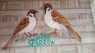 India News | Odisha Artist Commemorates World Sparrow Day with Rangoli Artwork, Urges People to Protect Them