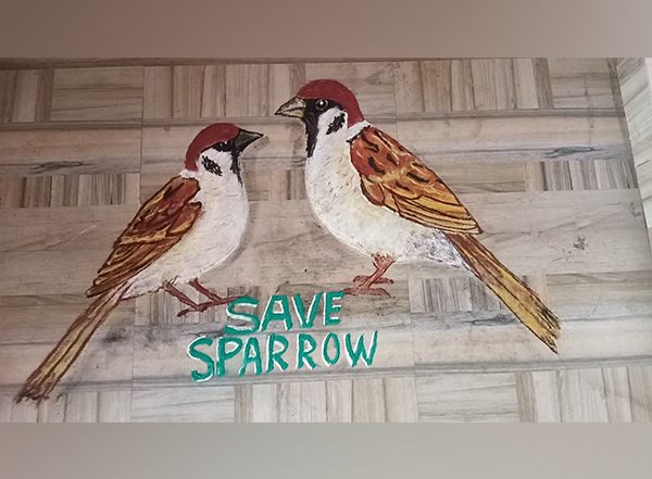 India News | Odisha Artist Commemorates World Sparrow Day with Rangoli Artwork, Urges People to Protect Them