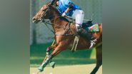 Business News | Jindal/Carysil Advances to Final of Jindal Steel Indian Open Polo Championship 2025