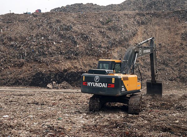 India News | Green Hope for Bhalswa: Bamboo Plantation Drive by Delhi Govt, Centre Aims to Revive Landfill Site