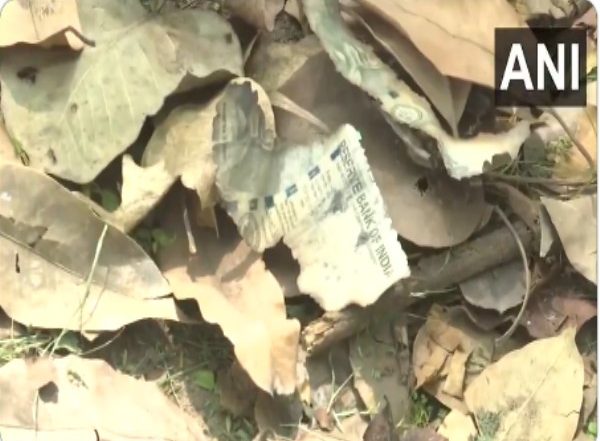 India News | Burnt Pieces of Currency Notes Found in Garbage Near Delhi HC Judge Yashwant Varma's Residence