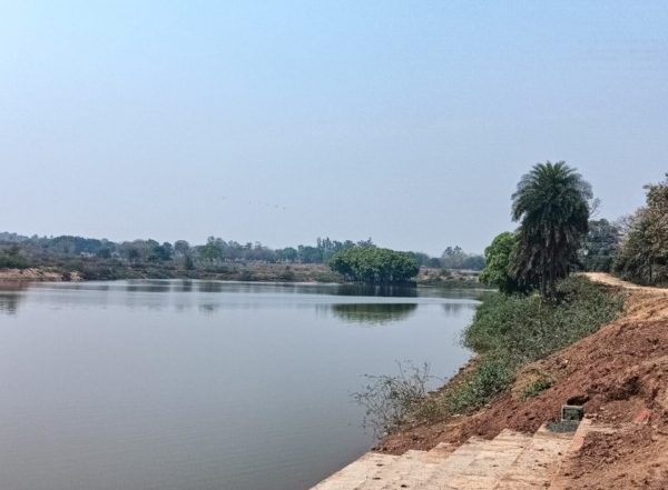 India News | Rejuvenated Reservoir Changes Livelihood & Rural Economy of Jharkhand's Jitkundi Panchayat