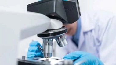 Health News | New Eye Drops Slow Vision Loss in Animals: Study